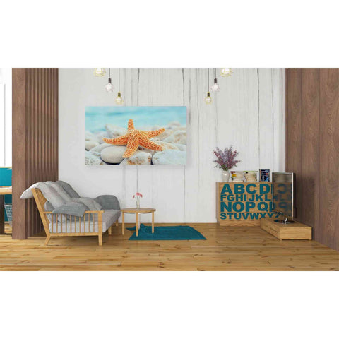 Image of 'Sea Star Dreams' Giclee Canvas Wall Art