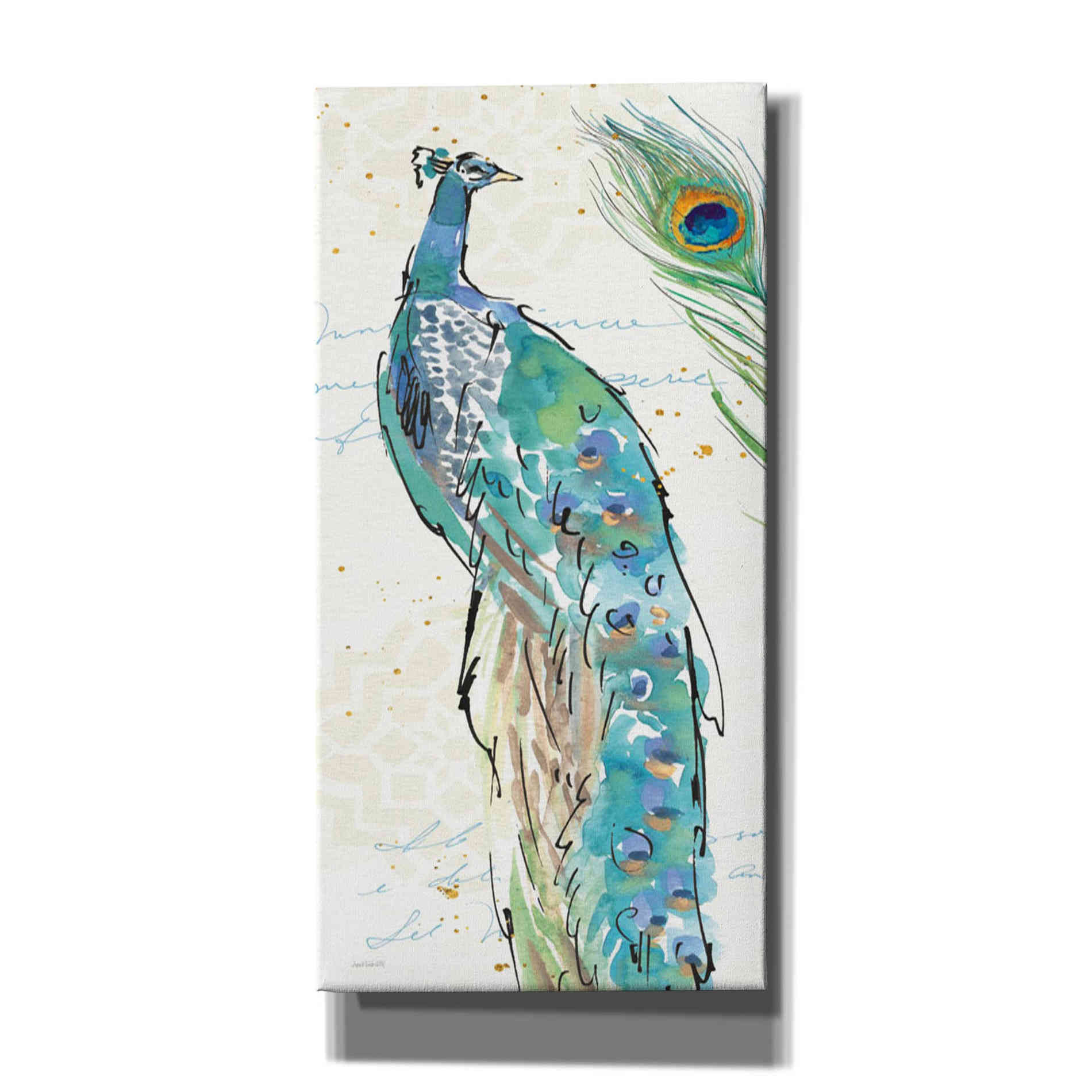 'Peacock Garden IV' by Anne Tavoletti, Canvas Wall Art,30 x 60