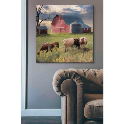 Image of 'Wyoming Sunset' by Lori Deiter, Canvas Wall Art,37 x 37