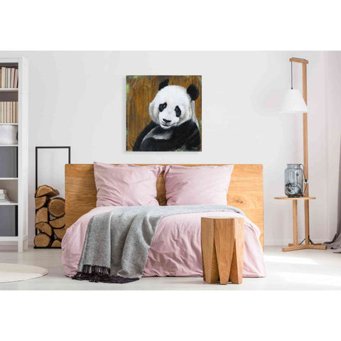 Image of 'Panda Smile' by Britt Hallowell, Canvas Wall Art,37 x 37