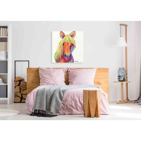 Image of 'Cheery Horse' by Britt Hallowell, Canvas Wall Art,37 x 37