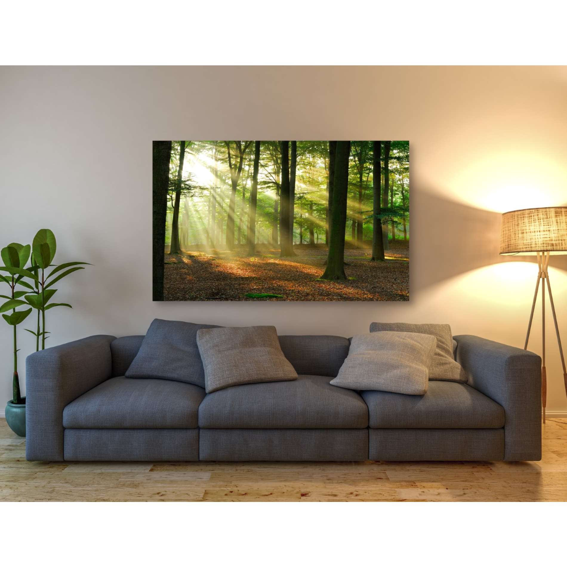 'Rays of Light' Canvas Wall Art,54 x 40
