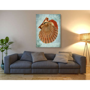 'Coastal Life Collection 2 c,' by Fab Funky, Giclee Canvas Wall Art