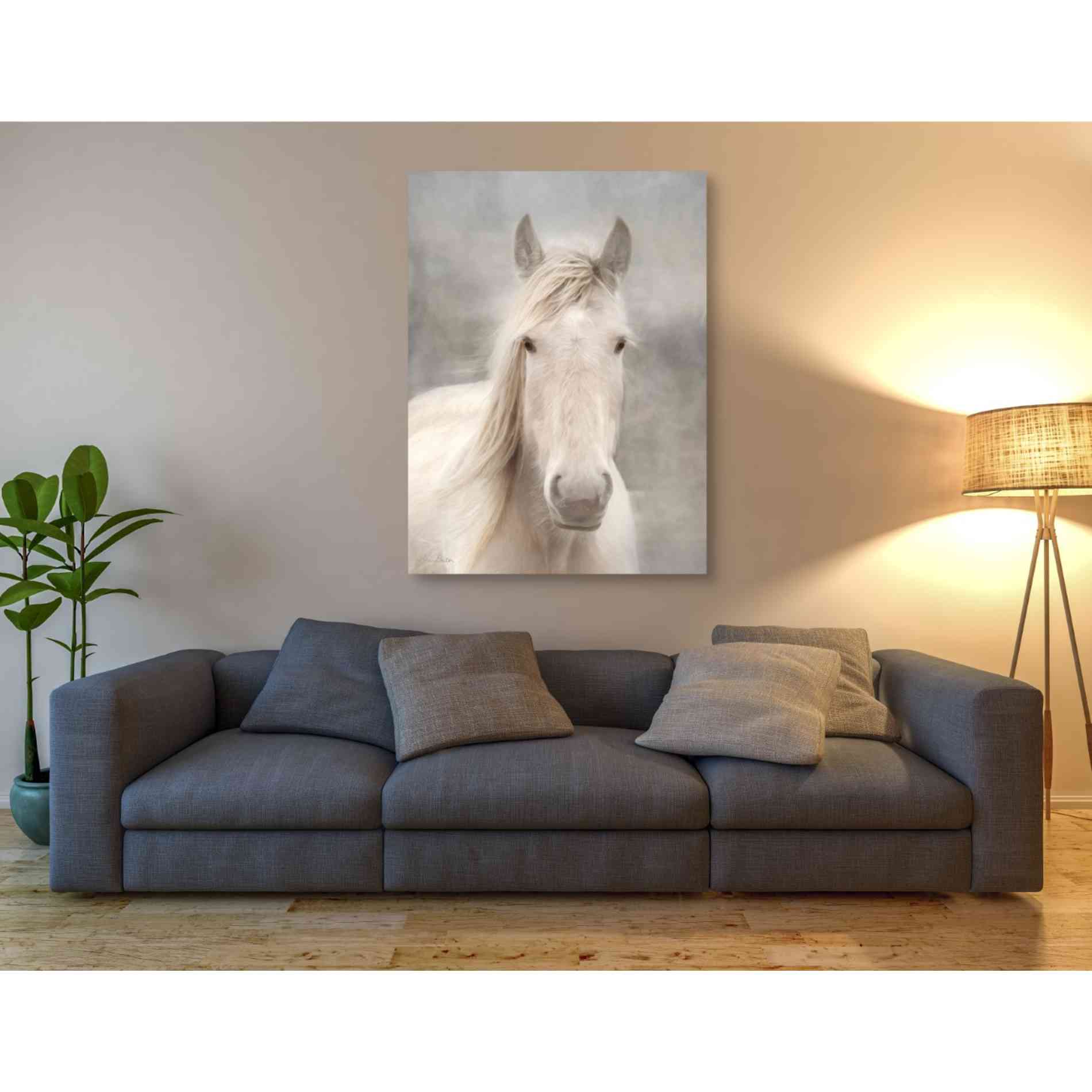 'White Beauty I' by Lori Deiter, Canvas Wall Art,40 x 54