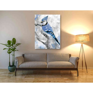 'Blue Jay 2' by Stellar Design Studio, Canvas Wall Art,40 x 54