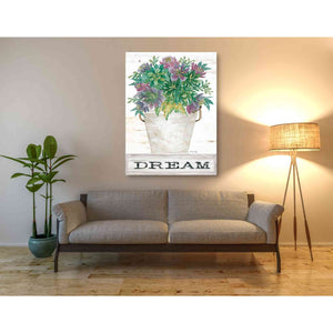 'Dream Succulents' by Cindy Jacobs, Canvas Wall Art,40 x 54