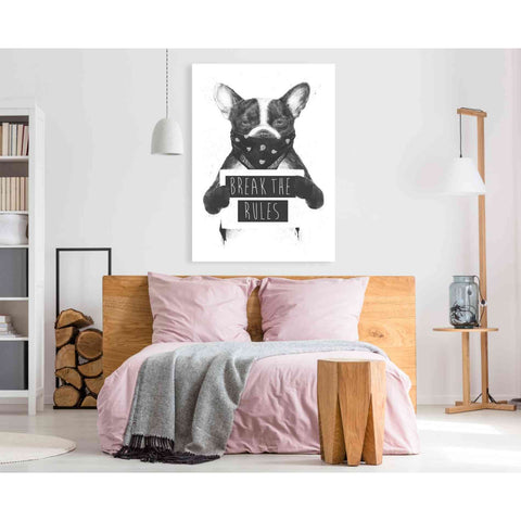 Image of 'Rebel Dog' by Balazs Solti, Giclee Canvas Wall Art