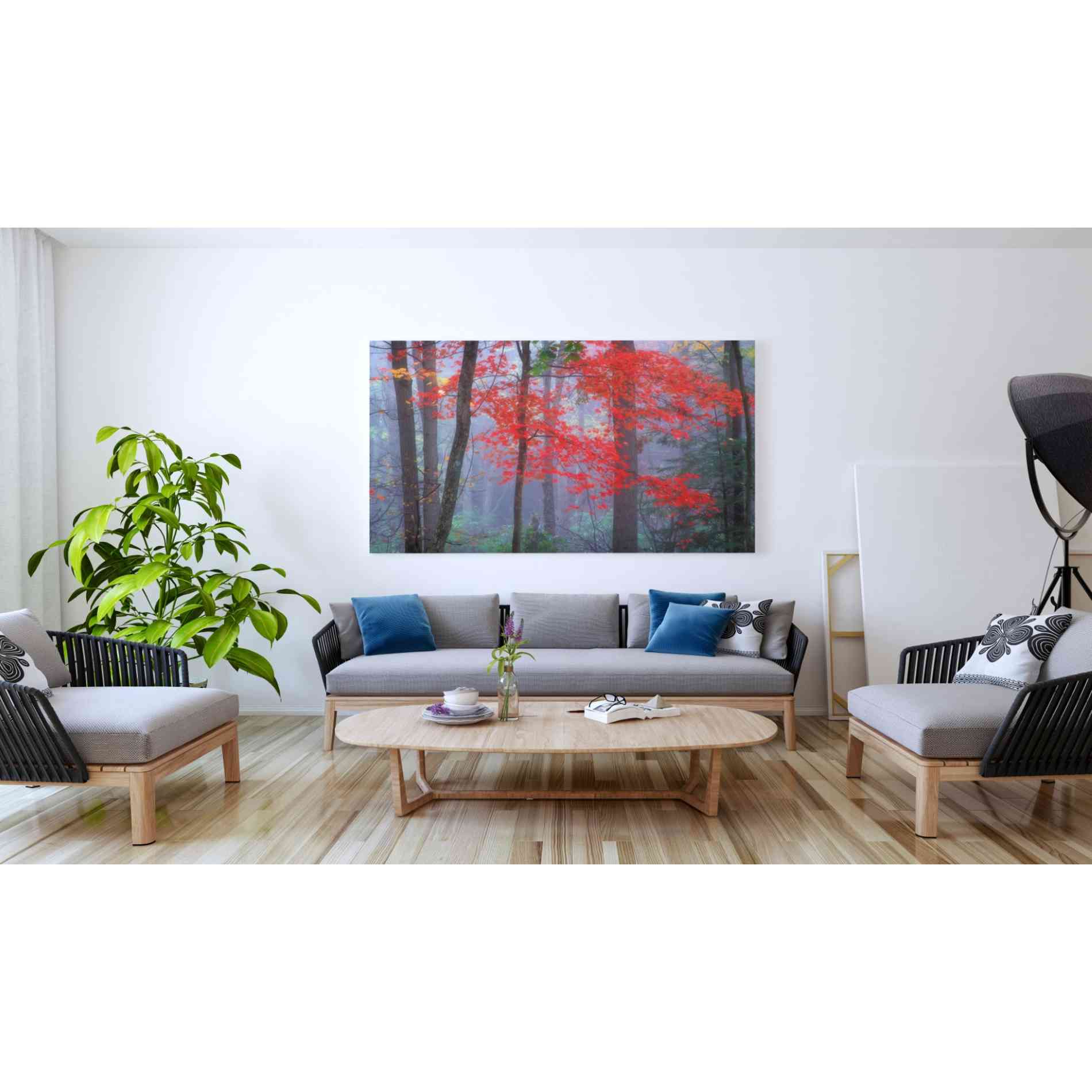 'Splash of Red' by Patrick Zephyr, Canvas Wall Art,60 x 40