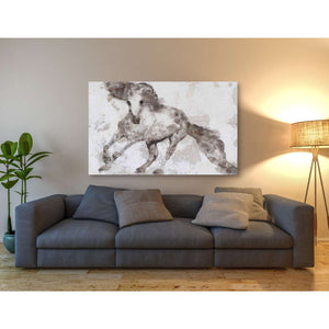 'Alydar Horse' by Irena Orlov, Canvas Wall Art,60 x 40
