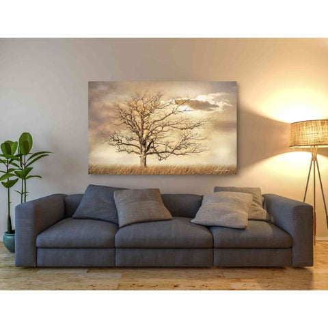 Image of 'Golden Tree' by Lori Deiter, Canvas Wall Art,60 x 40