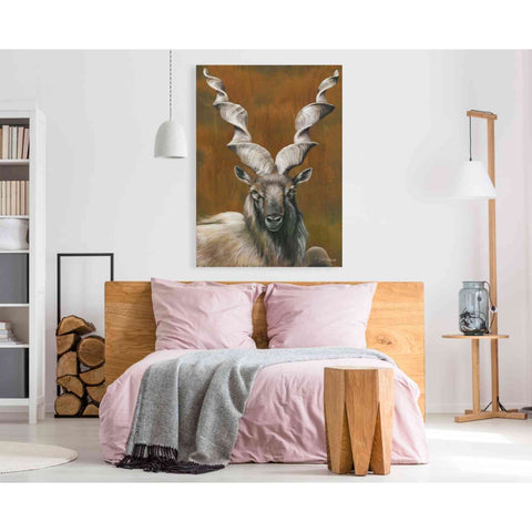 Image of 'Mighty Markhor' by Britt Hallowell, Canvas Wall Art,40 x 60