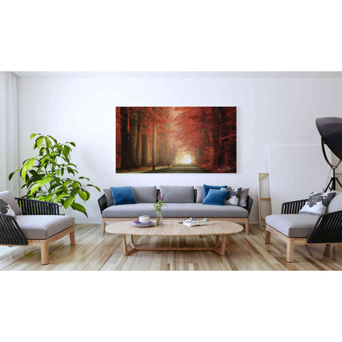 Image of 'Way to Red' by Martin Podt, Canvas Wall Art,60 x 40