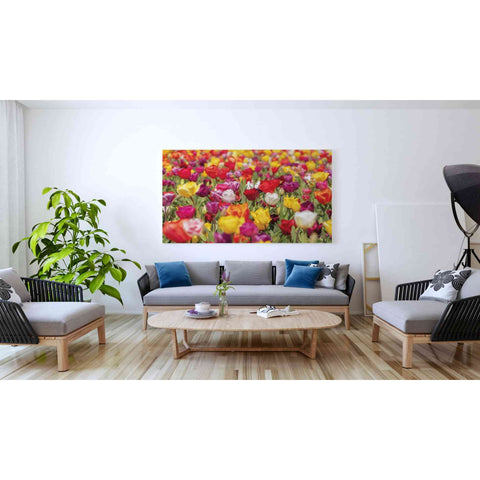 Image of 'Colorful Bouquet' by Martin Podt, Canvas Wall Art,60 x 40