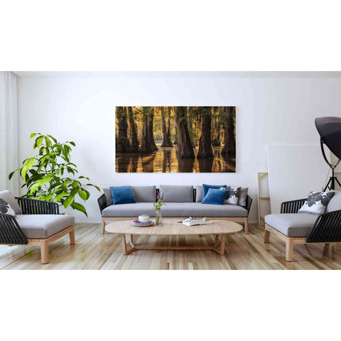 Image of 'Natural Beauty' by Martin Podt, Canvas Wall Art,60 x 40