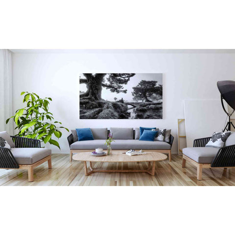 Image of 'Black & White Fanal' by Martin Podt, Canvas Wall Art,60 x 40
