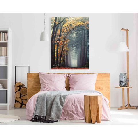 Image of 'To Another World' by Martin Podt, Canvas Wall Art,40 x 60