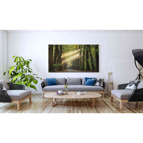 Image of 'Rayzor Light' by Martin Podt, Canvas Wall Art,60 x 40