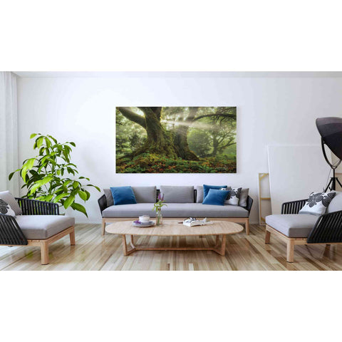 Image of 'One-Two Tree' by Martin Podt, Canvas Wall Art,60 x 40