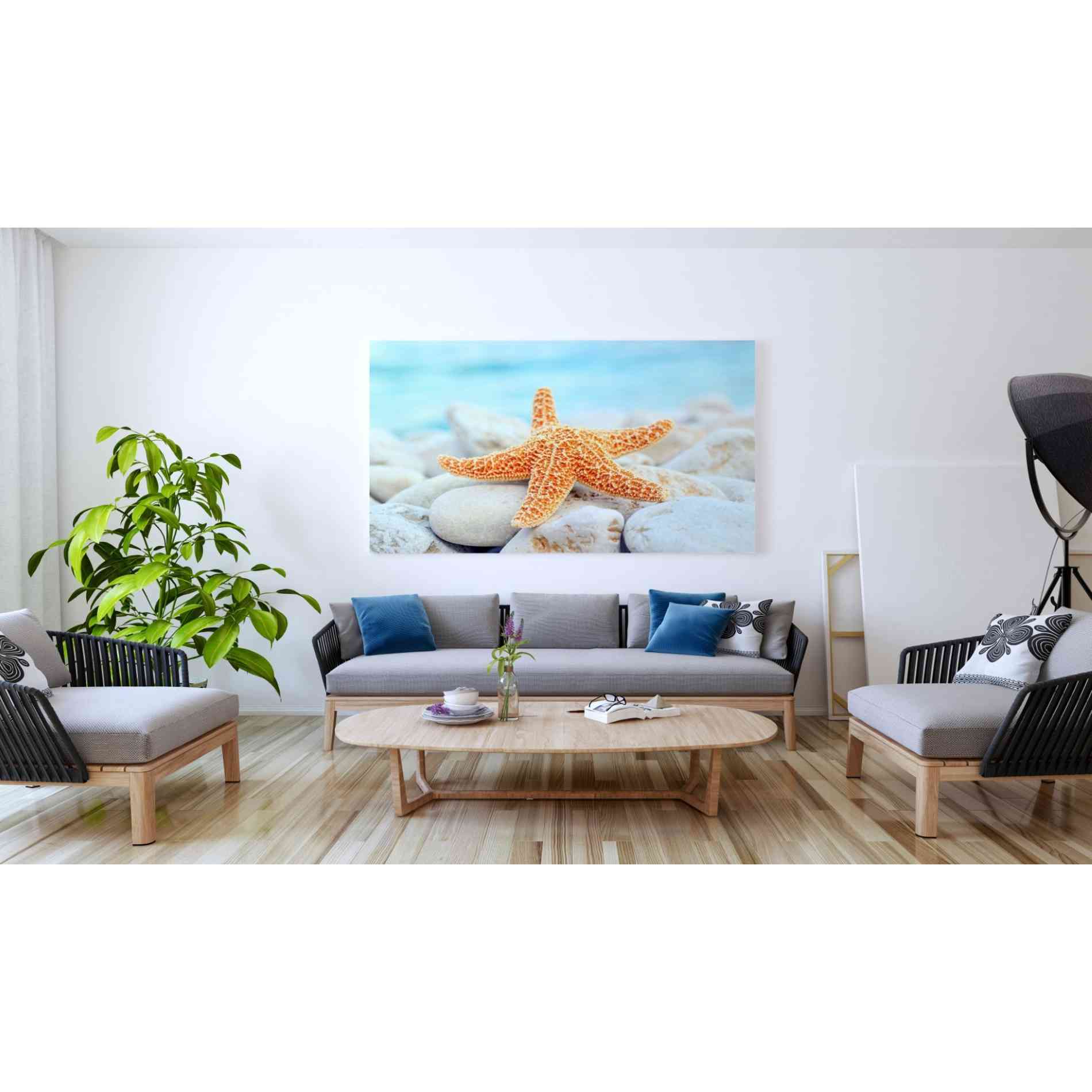 'Sea Star Dreams' Giclee Canvas Wall Art