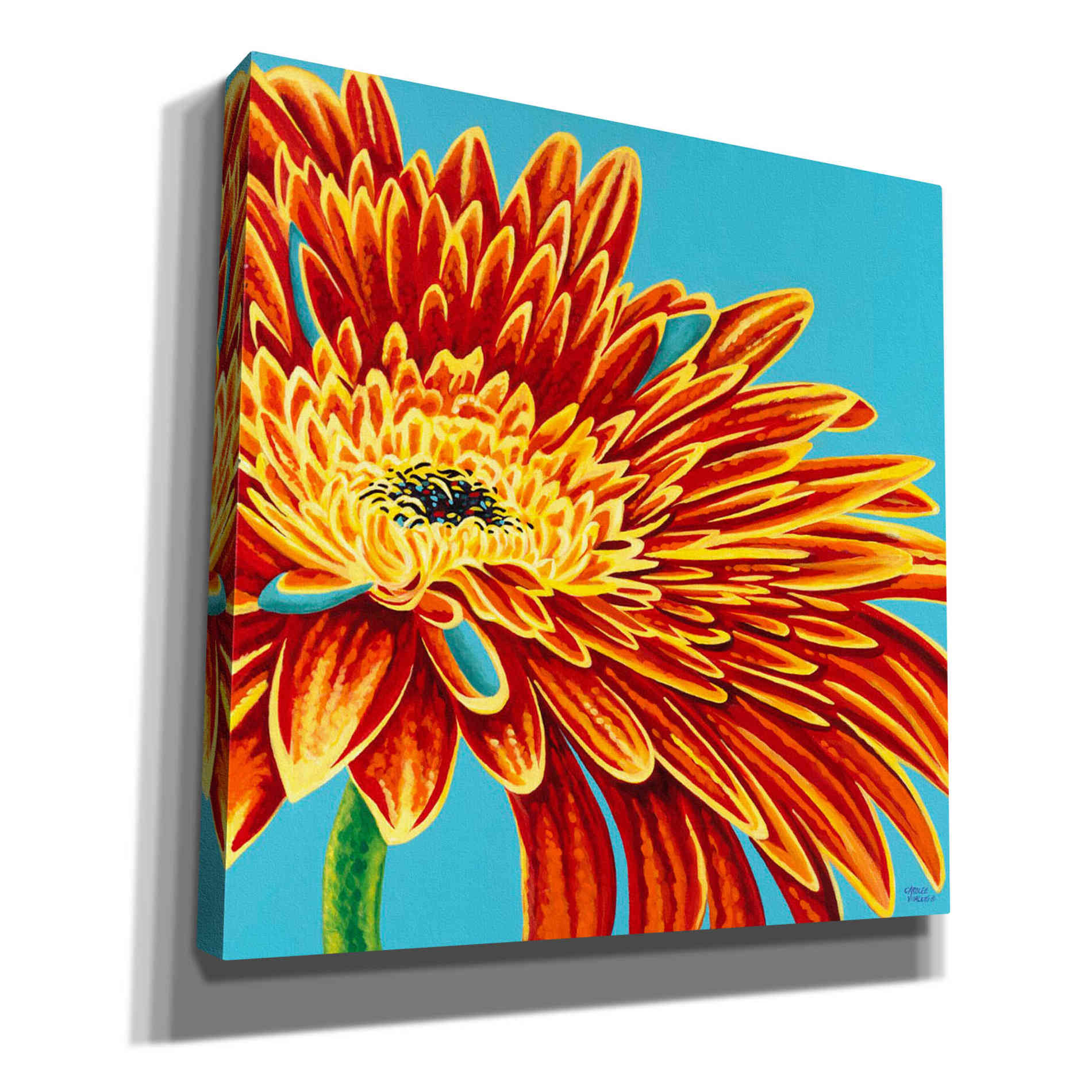 'Color Bursts I' by Carolee Vitaletti, Giclee Canvas Wall Art