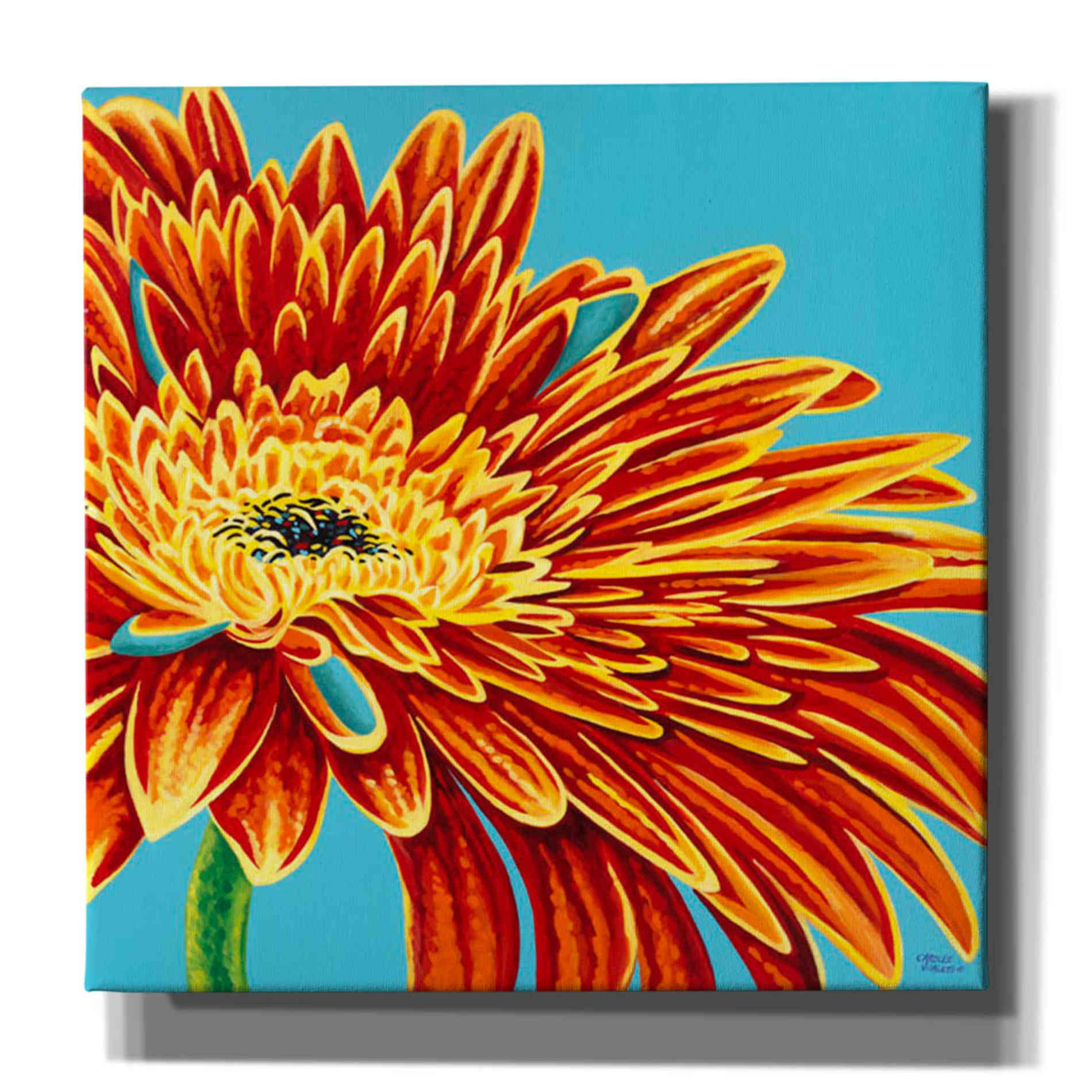 'Color Bursts I' by Carolee Vitaletti, Giclee Canvas Wall Art