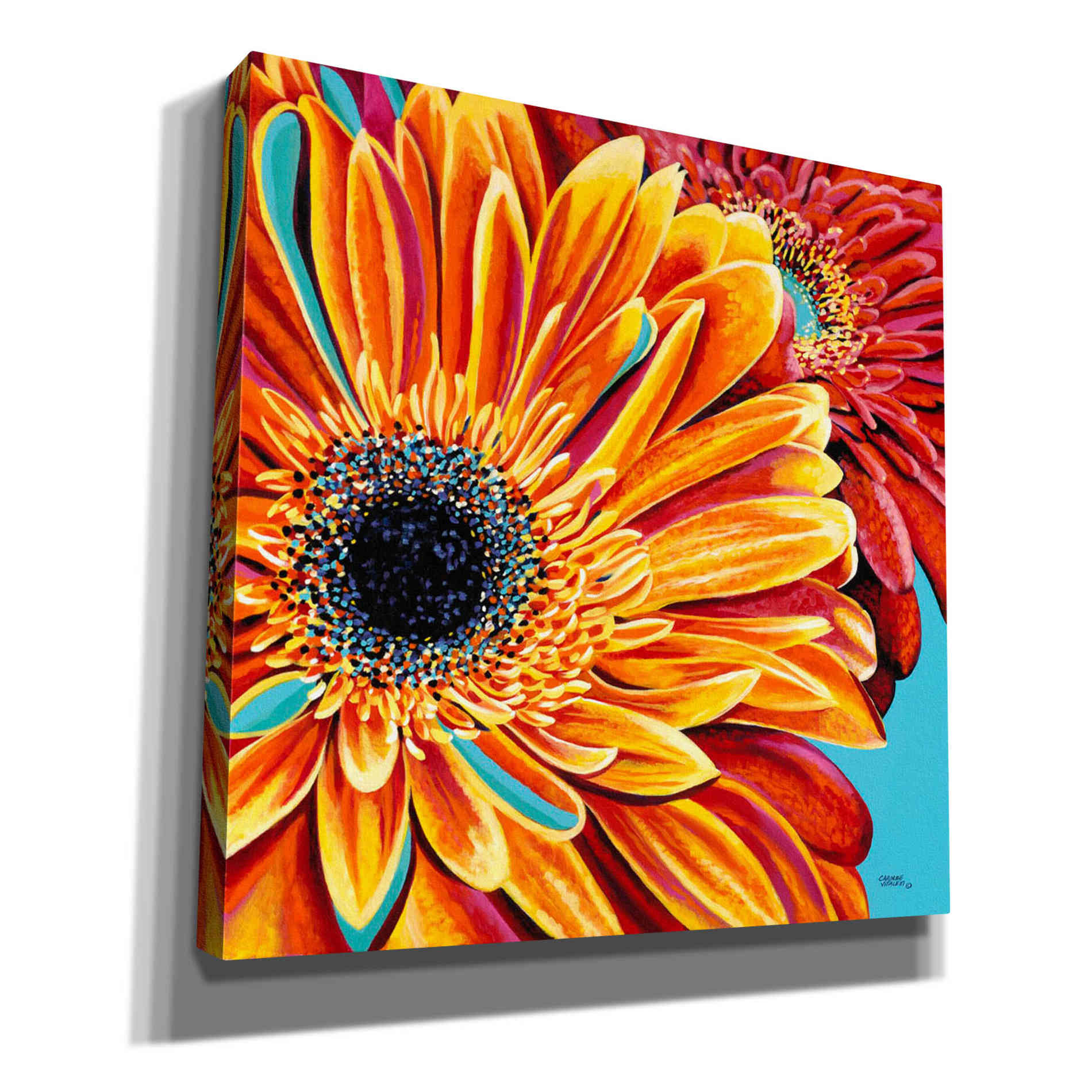 'Color Bursts II' by Carolee Vitaletti, Giclee Canvas Wall Art