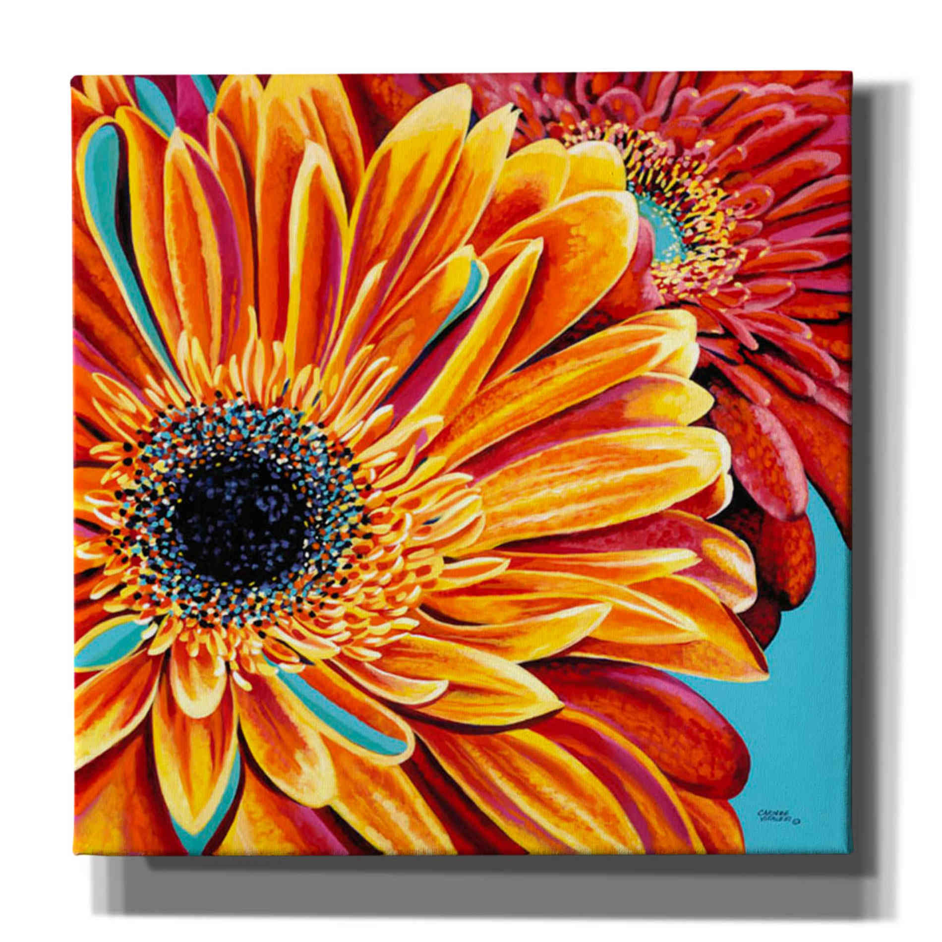 'Color Bursts II' by Carolee Vitaletti, Giclee Canvas Wall Art