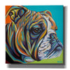 'Dog Friend I' by Carolee Vitaletti, Giclee Canvas Wall Art
