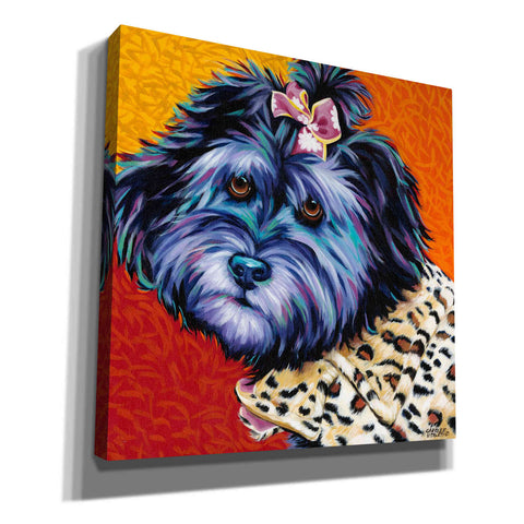 Image of 'Cute Pups III' by Carolee Vitaletti, Giclee Canvas Wall Art