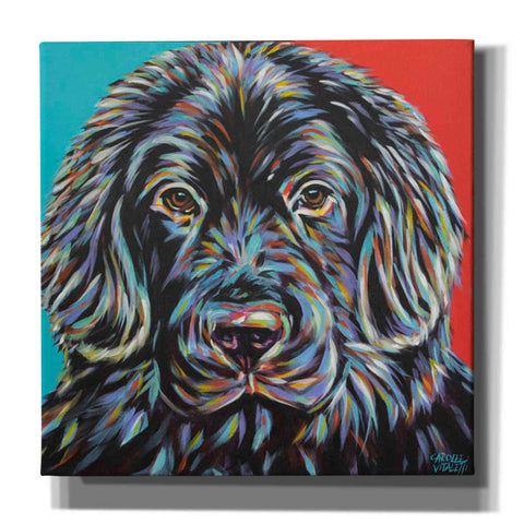Image of 'Canine Buddy I' by Carolee Vitaletti, Giclee Canvas Wall Art