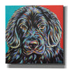 'Canine Buddy I' by Carolee Vitaletti, Giclee Canvas Wall Art