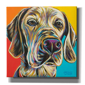 'Canine Buddy II' by Carolee Vitaletti, Giclee Canvas Wall Art