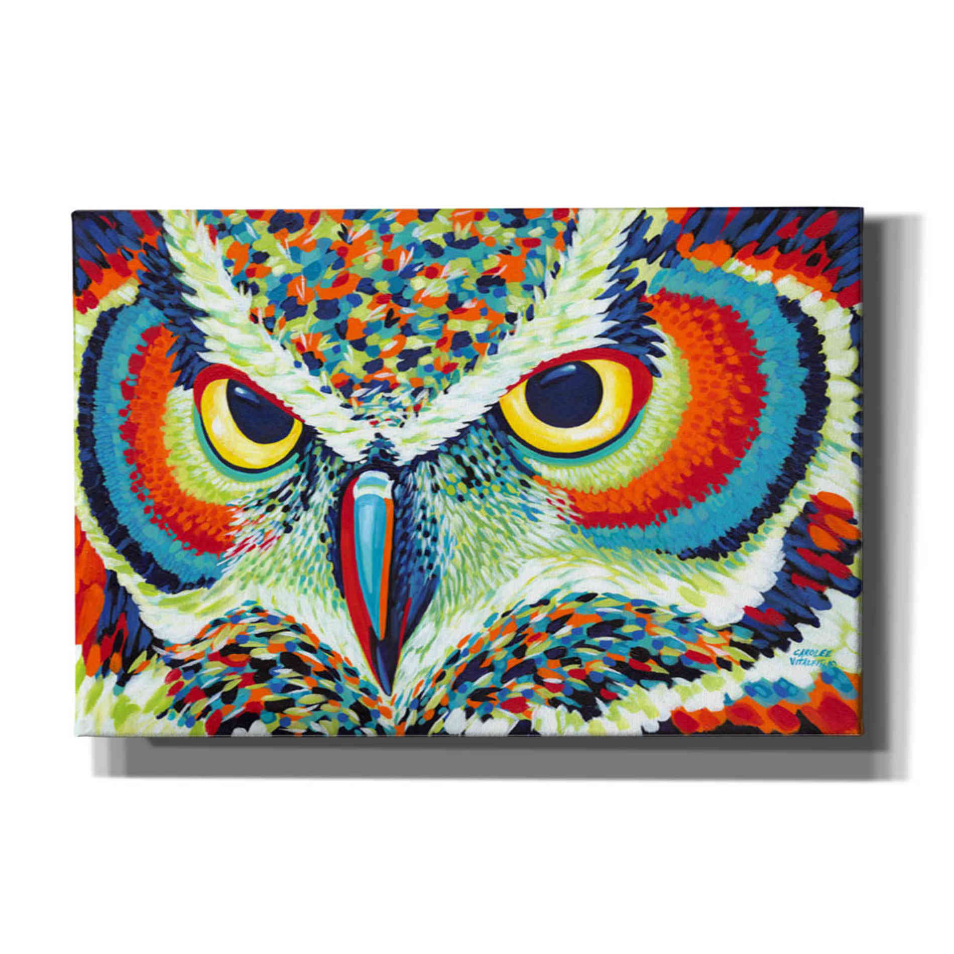 'Bright Eyes' by Carolee Vitaletti, Giclee Canvas Wall Art