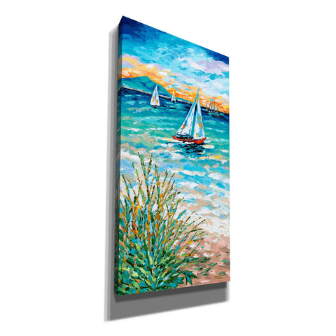 Image of 'Wind in my Sail I' by Carolee Vitaletti, Giclee Canvas Wall Art