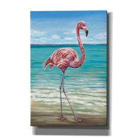 'Beach Walker Flamingo I' by Carolee Vitaletti, Giclee Canvas Wall Art