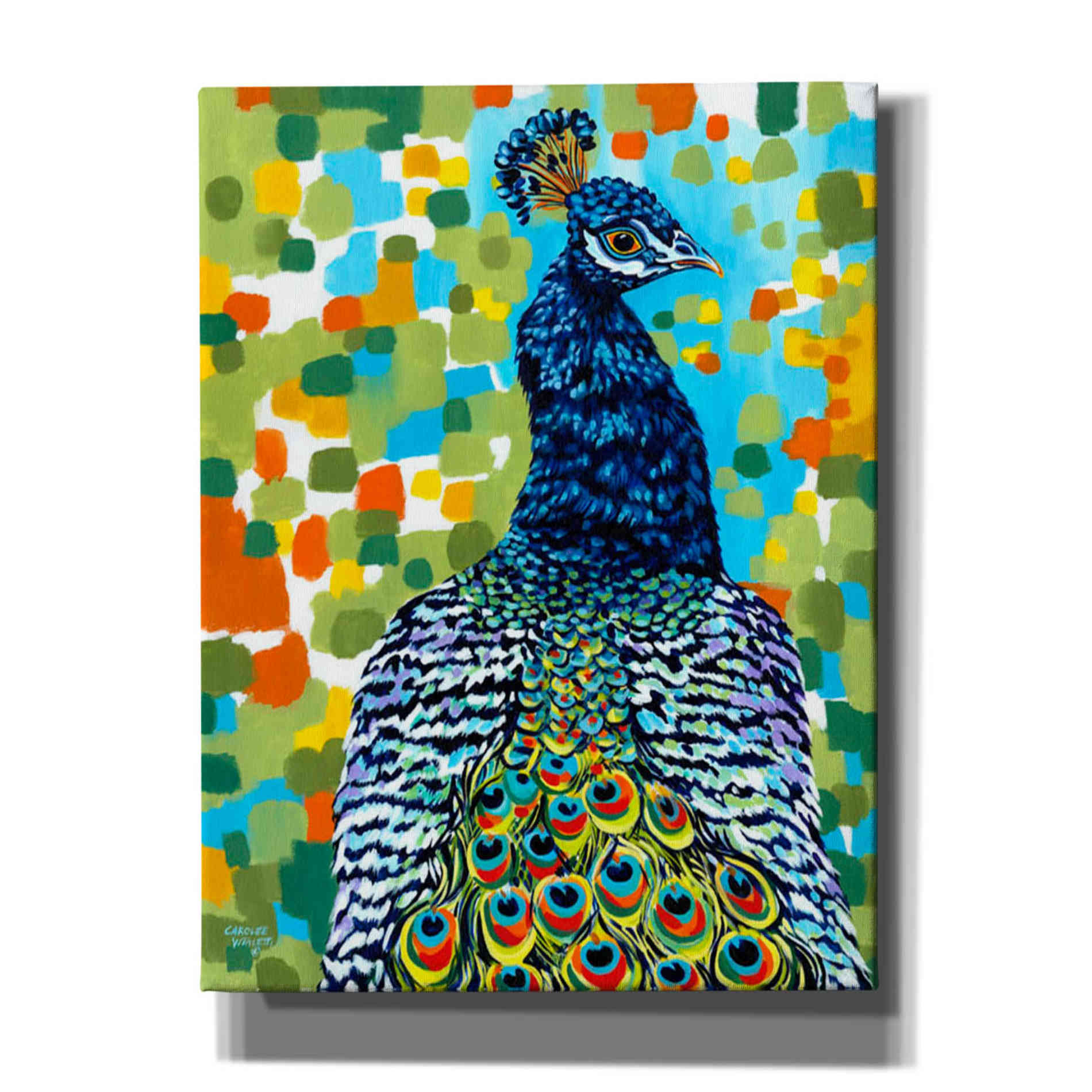 'Plumed Peacock II' by Carolee Vitaletti, Giclee Canvas Wall Art