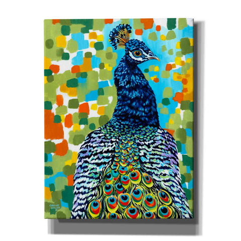 Image of 'Plumed Peacock II' by Carolee Vitaletti, Giclee Canvas Wall Art