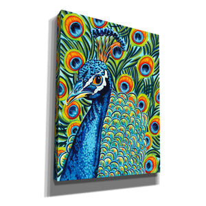 'Plumed Peacock I' by Carolee Vitaletti, Giclee Canvas Wall Art