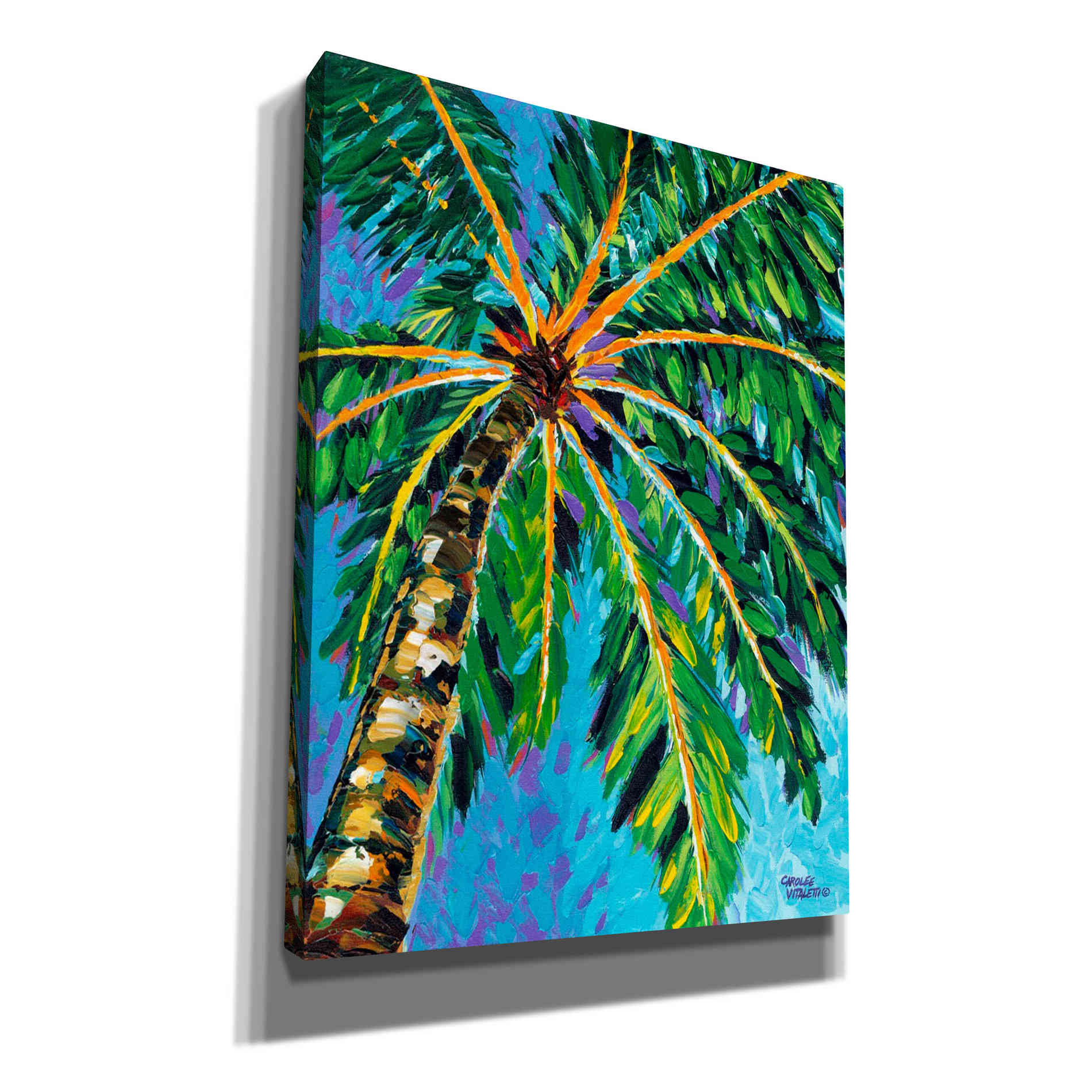 'Under the Palms I' by Carolee Vitaletti, Giclee Canvas Wall Art