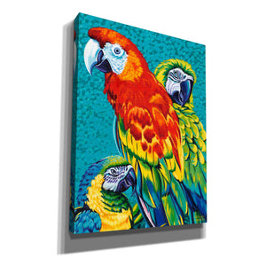 'Birds in Paradise III' by Carolee Vitaletti Giclee Canvas Wall Art