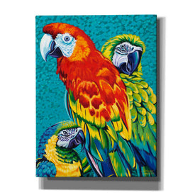 'Birds in Paradise III' by Carolee Vitaletti Giclee Canvas Wall Art