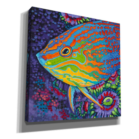 Image of 'Brilliant Tropical Fish I' by Carolee Vitaletti Giclee Canvas Wall Art