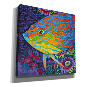 'Brilliant Tropical Fish I' by Carolee Vitaletti Giclee Canvas Wall Art