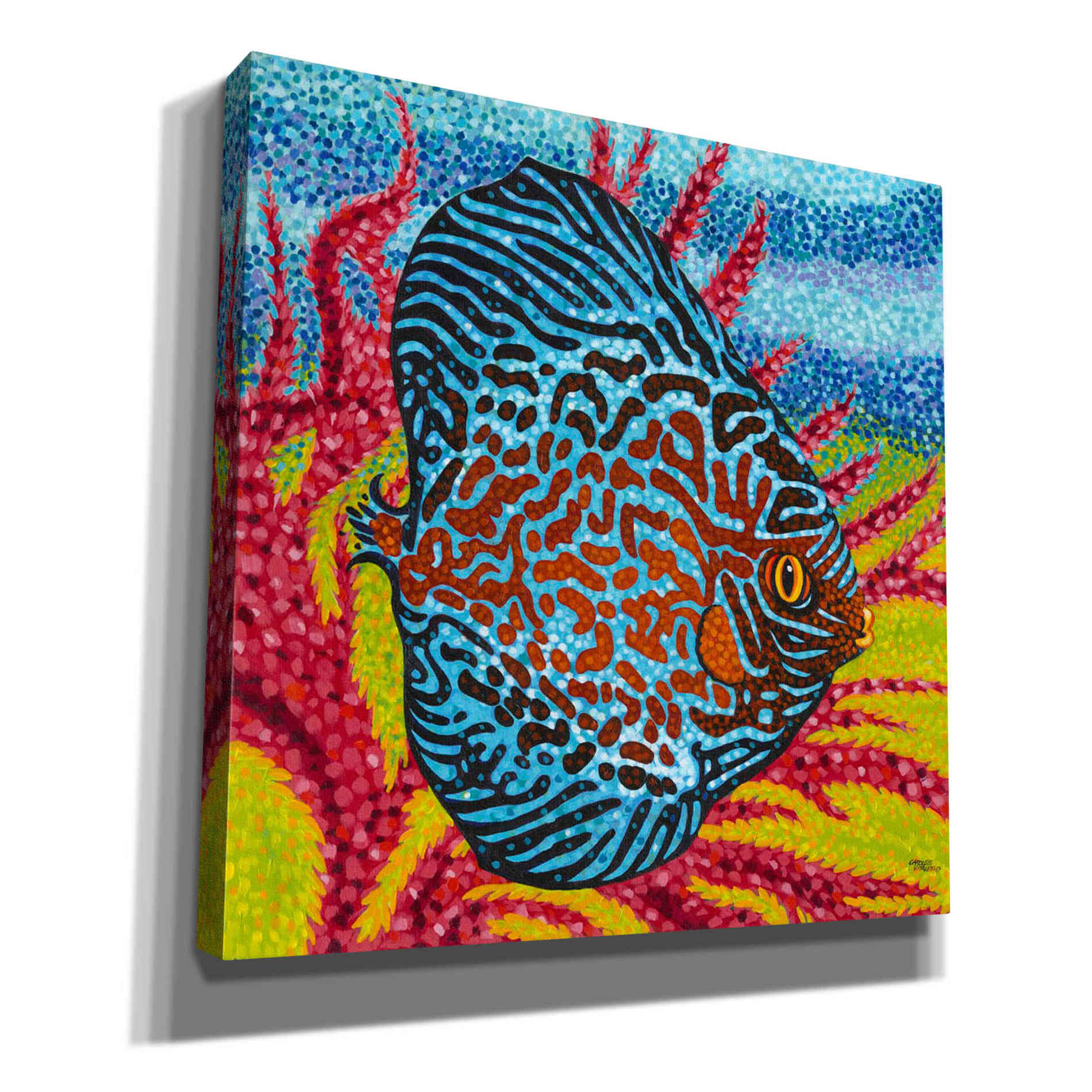'Brilliant Tropical Fish II' by Carolee Vitaletti Giclee Canvas Wall Art
