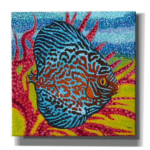 Image of 'Brilliant Tropical Fish II' by Carolee Vitaletti Giclee Canvas Wall Art