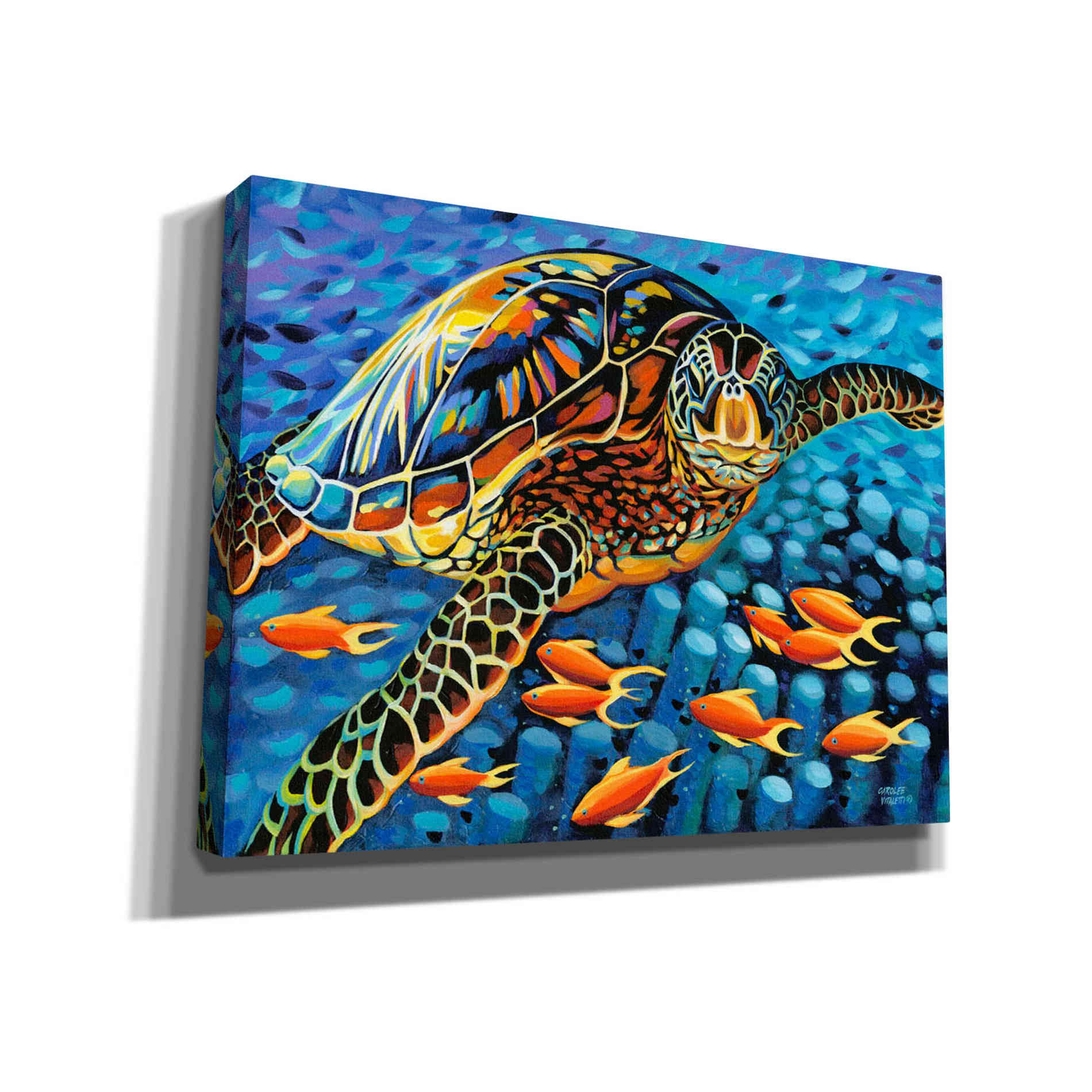 'Cruising Along I' by Carolee Vitaletti Giclee Canvas Wall Art