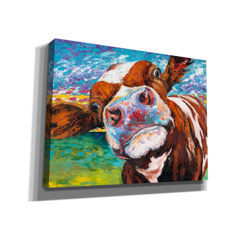 Image of 'Curious Cow I' by Carolee Vitaletti Giclee Canvas Wall Art