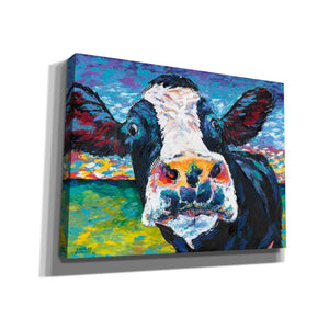 'Curious Cow II' by Carolee Vitaletti Giclee Canvas Wall Art
