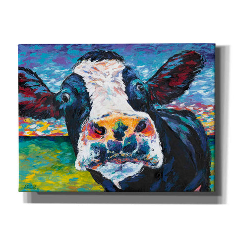 Image of 'Curious Cow II' by Carolee Vitaletti Giclee Canvas Wall Art