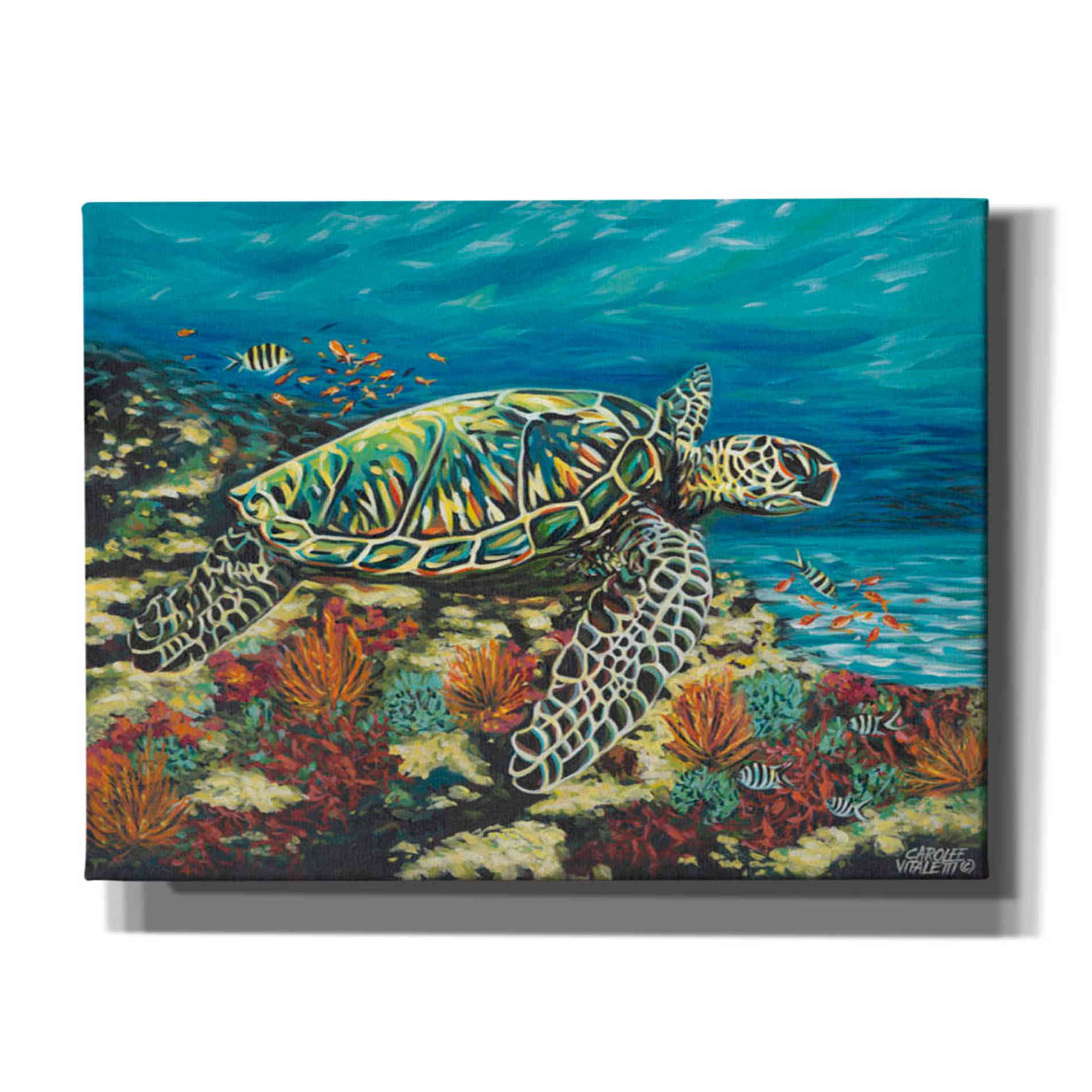'Deep Sea Swimming II' by Carolee Vitaletti Giclee Canvas Wall Art
